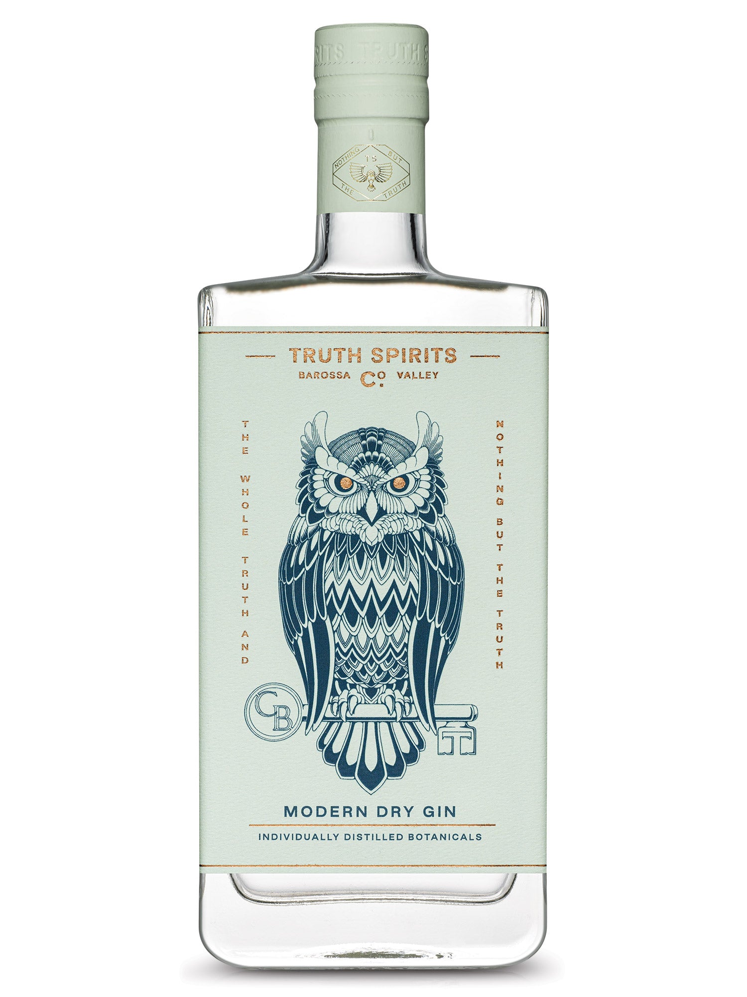 Truth Spirits Modern Dry Gin bottle with a detailed blue owl illustration on the label, photographed against a clean white background.